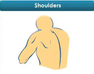 Icon Shoulders
